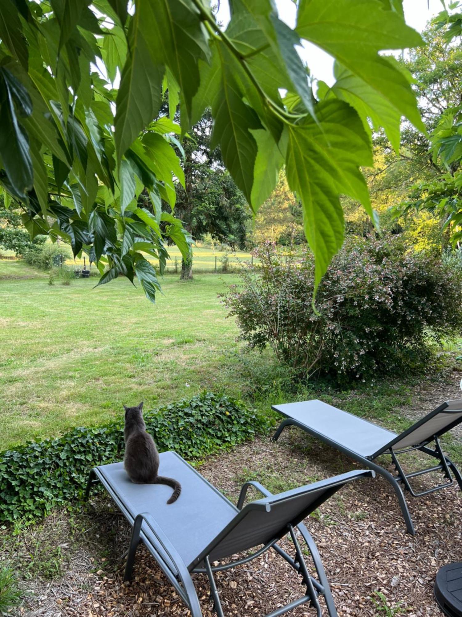 Bed and Breakfast Laguillotte Seignosse Esterno foto